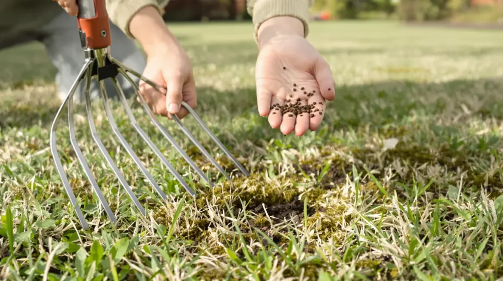 Votre pelouse redeviendra plus dense et plus verte grâce à l'ajout d'un seul remède naturel dès maintenant (et sans produits chimiques)